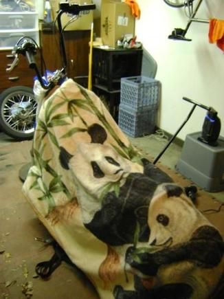 apply the panda blanket to protect!
