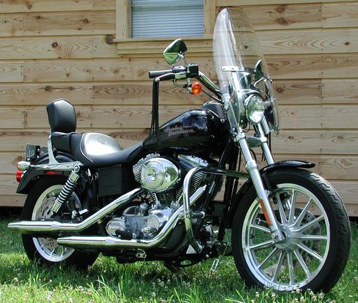 just bathed and ready to mis-behave!