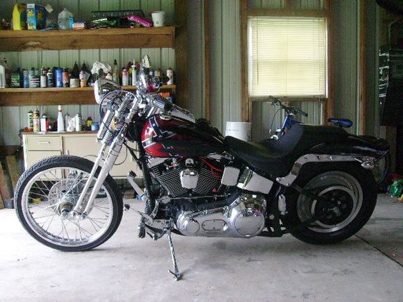 97 Springer Pics! 025