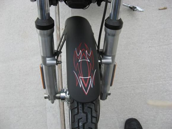 Front Fender Pinstripes