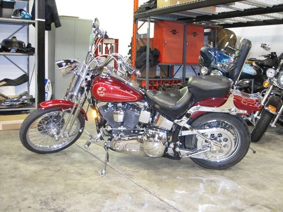 Springer on how it looked when I bought her