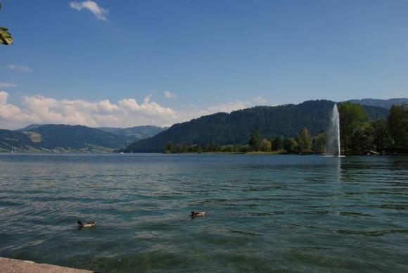 more local lake