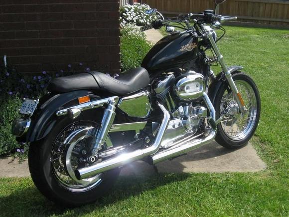 my sporty