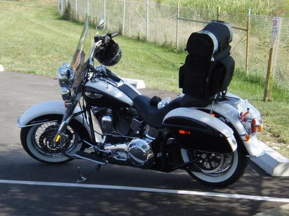 Tenn Nat'l Hog Ralley