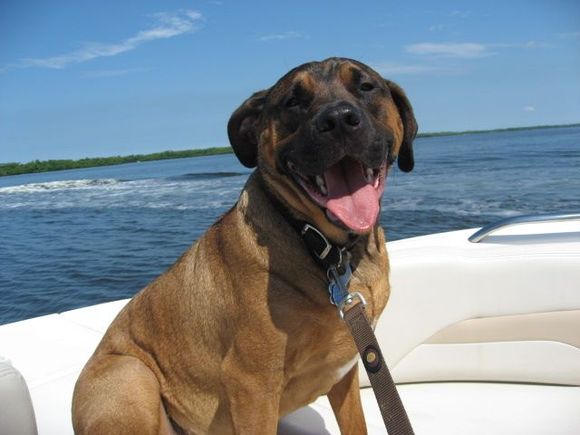 Head Dag vacationing on the Gulf of Mexico.
