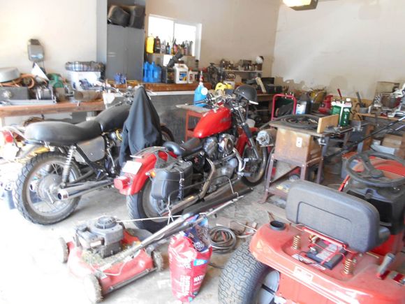 couple of scoots at home