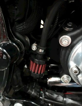 Twin Cam Softail in an Upright position with the lower tube vertically!