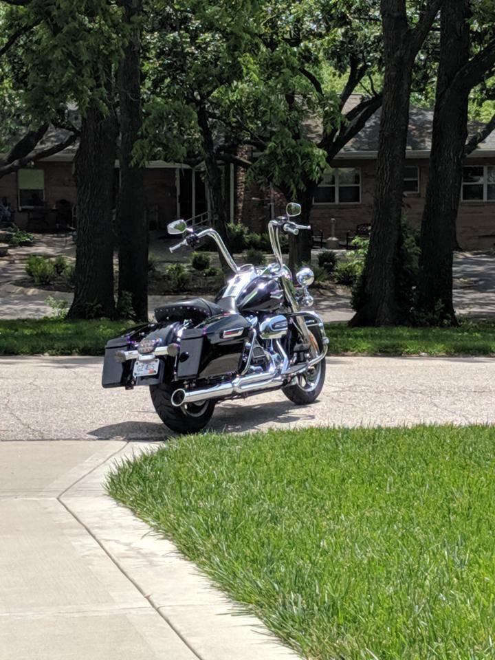 hill country customs apes