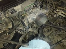 This is what I'm removing