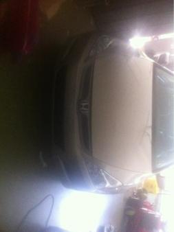image 3881835351