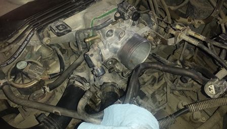This is what I'm removing