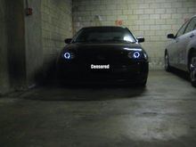 Angel Eyes HiD projectors