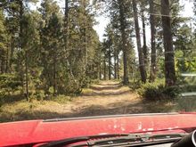 Logging Rd.