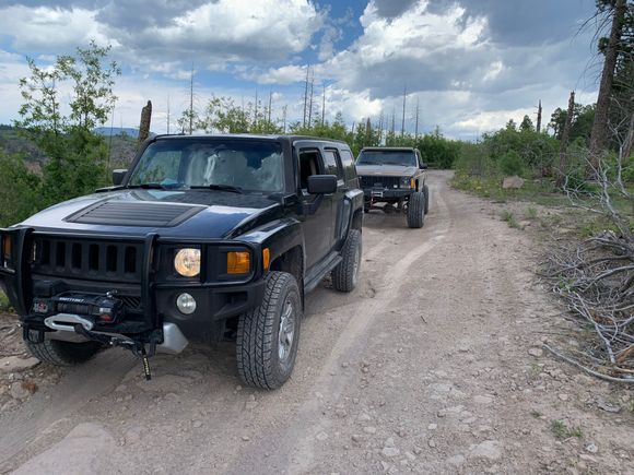 Jemez Forest, NM