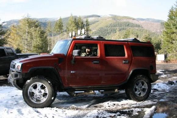 Betty playing in the mud.
