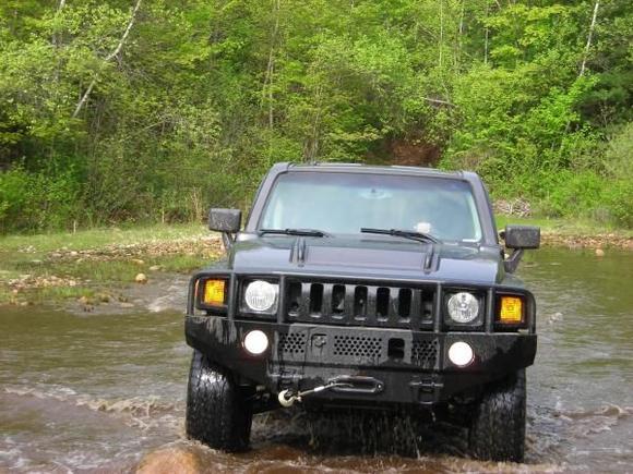 Hummer 016