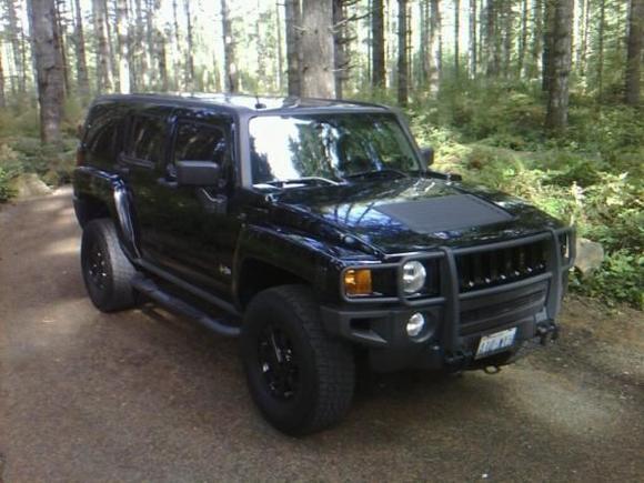 Capitol Forest, Washington