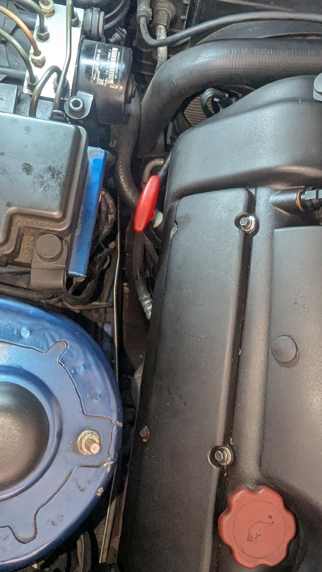 Macro view from above