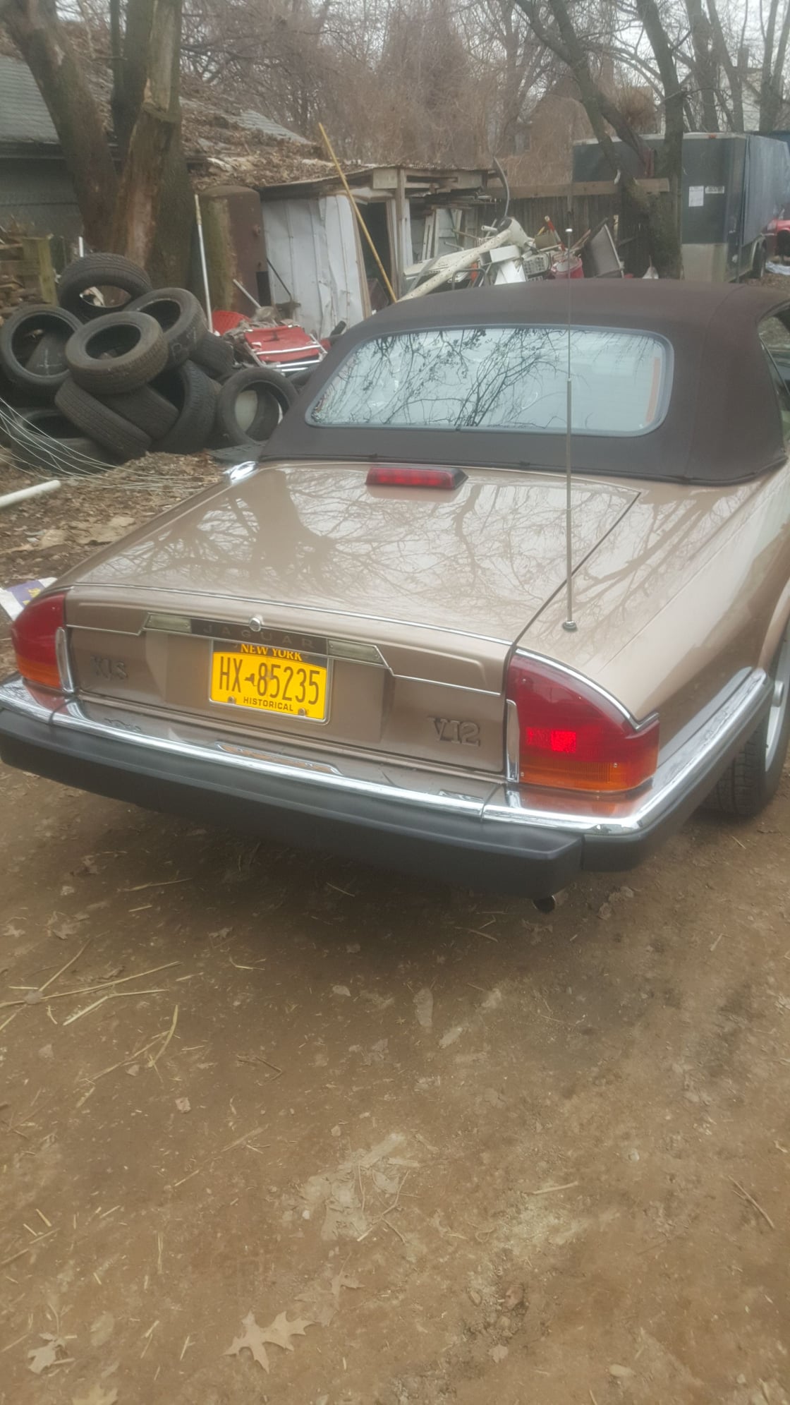 1989 Jaguar XJS - 1989 Jaguar xjs v12 convertible for sale - Used - VIN SAJNW4848LC169013 - 51,000 Miles - 12 cyl - 2WD - Convertible - Gold - Staten Island, NY 10302, United States