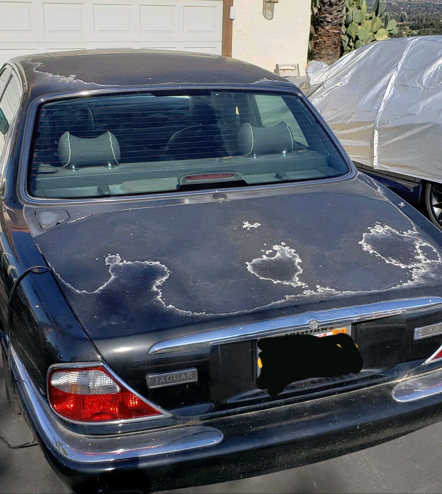 2000 Jaguar XJ8 - 2000 Jaguar XJ8 Blk/Blk - Good Runner - $1,200 OBO - Used - VIN SAJDA14C3YLF02654 - 130,500 Miles - 8 cyl - 2WD - Automatic - Sedan - Black - Ramona (san Diego), CA 92065, United States