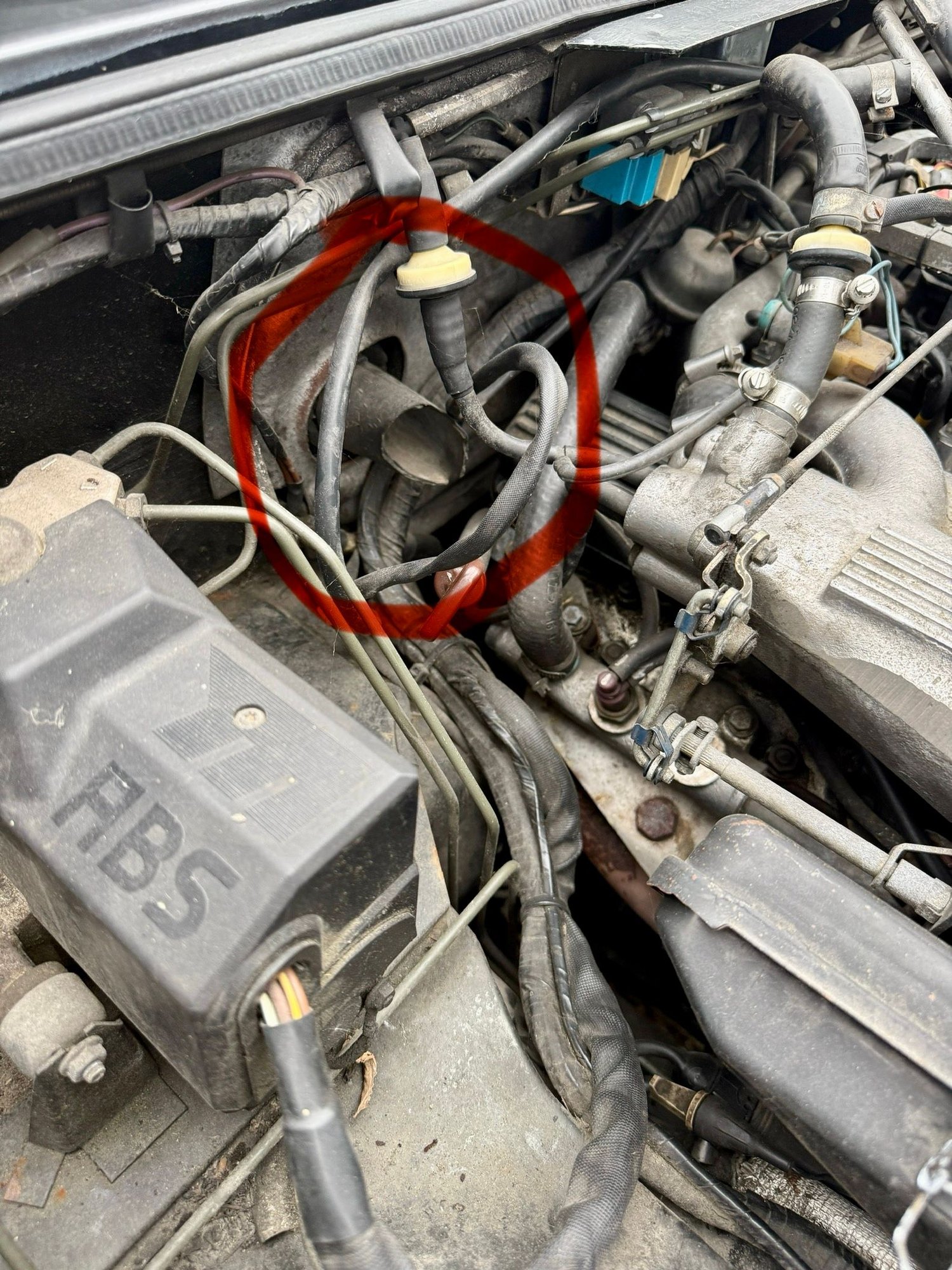 Cut/torn hose circled in red