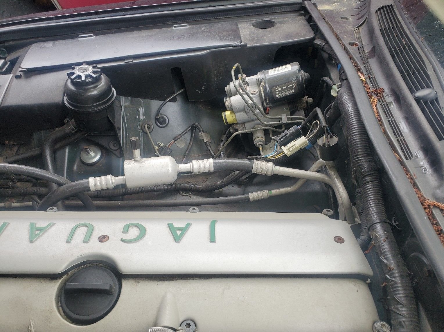 1996 passengers side inner fender