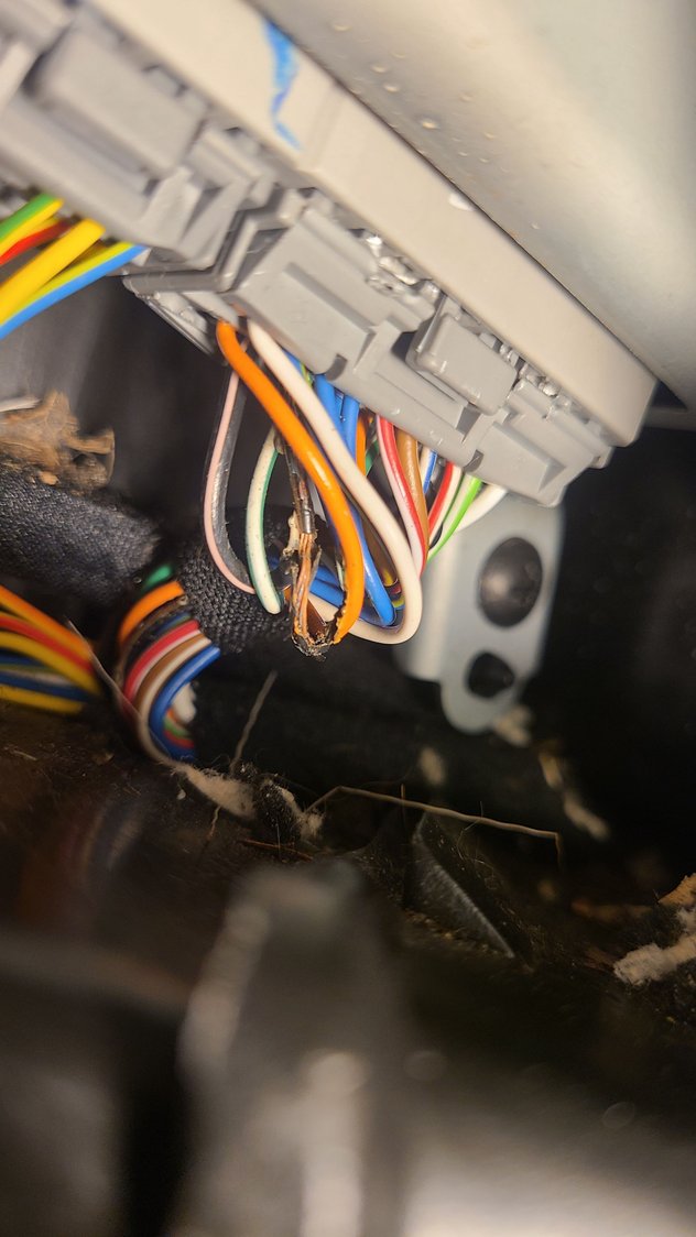 photo 2, bare wire at connector AC4