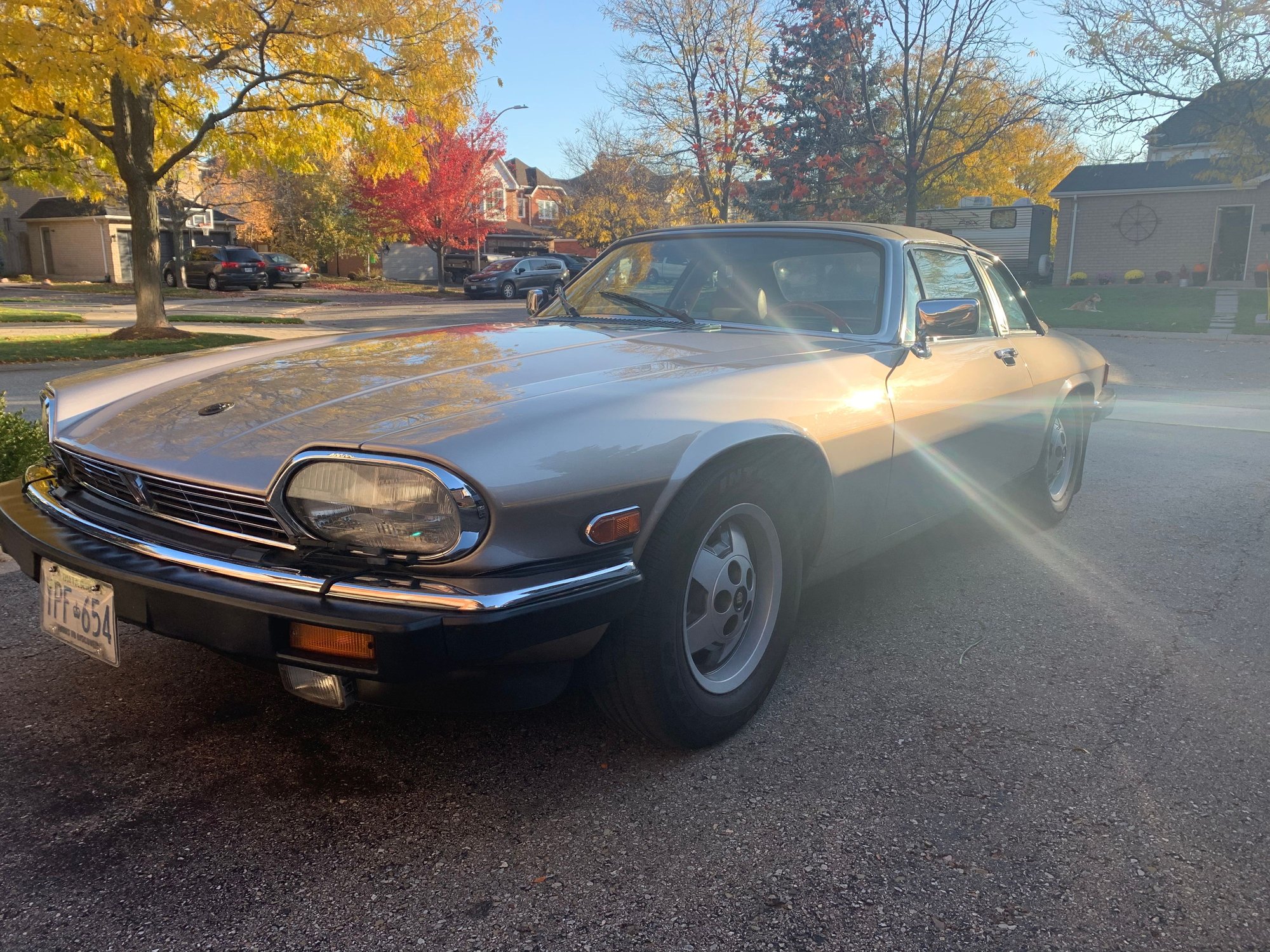 1987 Jaguar XJS - Jaguar XJ-SC - Used - VIN SAJNL3047HC139409 - 123,000 Miles - 12 cyl - 2WD - Automatic - Convertible - Other - Georgetown, ON L7G5W6, Canada