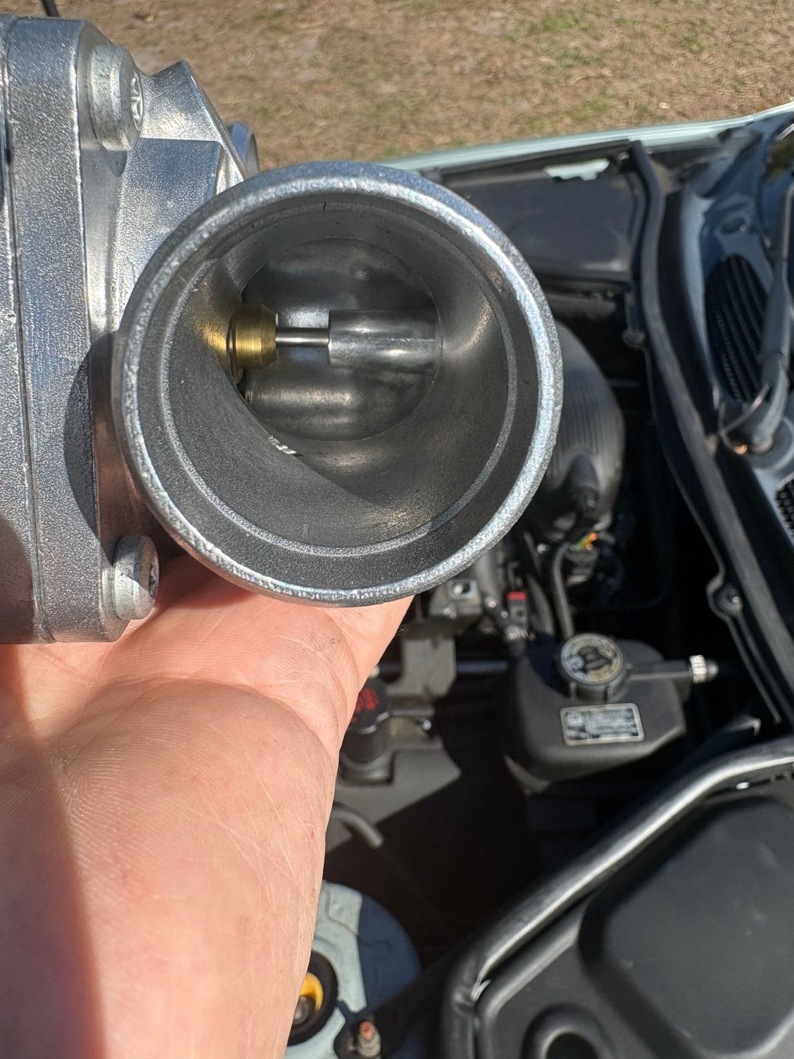 Comes with thermostat.