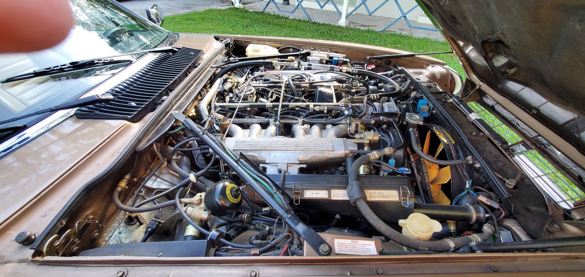 1988 Jaguar XJS - 1988 xjs coupe - Used - VIN SAJNL5845JC149538 - 60,000 Miles - 12 cyl - 2WD - Automatic - Coupe - Gold - Jacksonville, FL 32223, United States