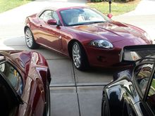 playing nicely with her german and Italian brothers:)