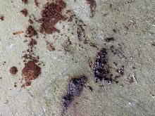 Crud from pre filters 