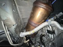 Driver’s side cats