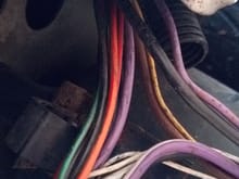 Wiring harness from fan control relay socket and fan connector LS26