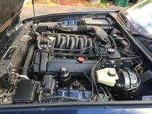 Engine bay - covers removed for photo, but they are all there