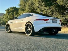 Jag in the wild!