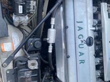 Where would trans electronic be?