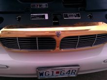 Gold grill