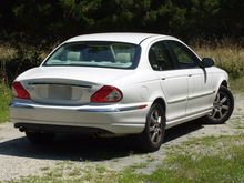 This cat looks good from any angle.