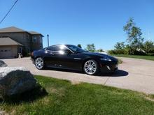 my second black beauty