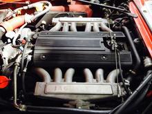 Alpha-Cat under the hood........