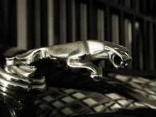 Leaper on my father's car.