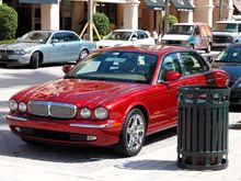 Eternal at Mizner Park chilling with his friend Blue Jag haha
