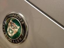 Growler badge