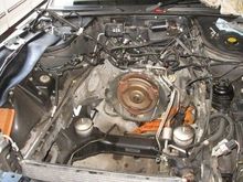 Its totally out, time to clean it up a bit and get the new one in.