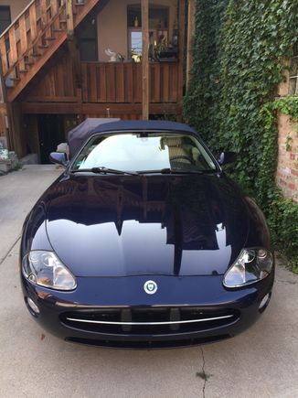 Just kicked back in Chicago's Little Italy after a wax.