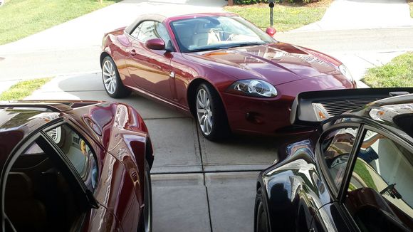 playing nicely with her german and Italian brothers:)