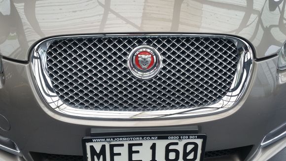 Removed grill badge had it painted red. Big improvement.