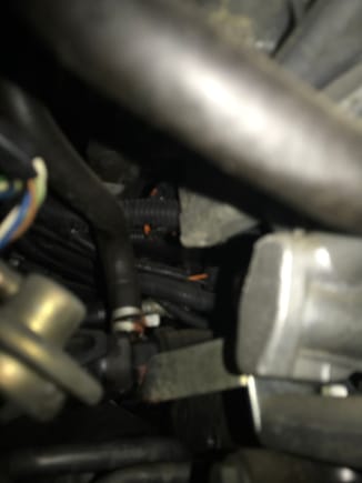 That connections of hoses is where the leak is located 