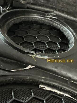 Remove raised ring form back of speaker baffle for tweeter